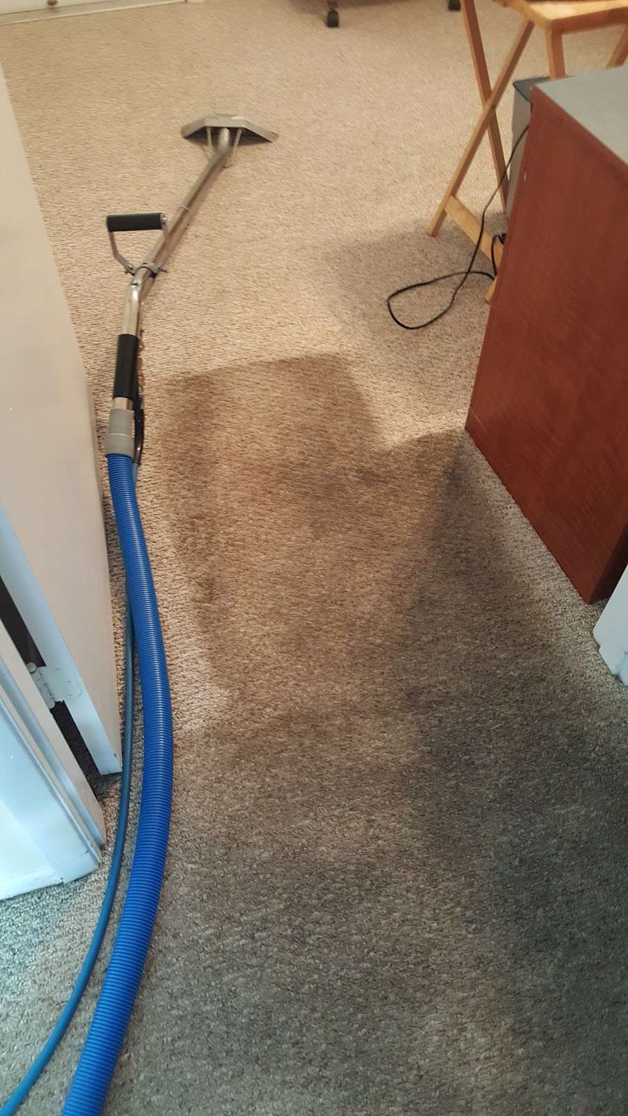 Logan Carpet Cleaning inc | 1500 Cypress Woods Cir, St Cloud, FL 34772, USA | Phone: (407) 957-6775