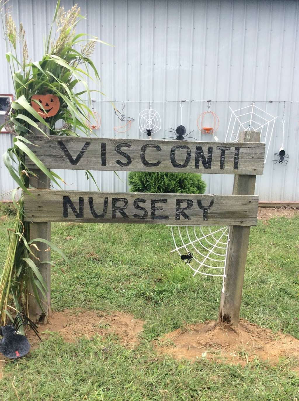 Visconti Nursery & Aquatics | 1459 Centerton Rd, Pittsgrove Township, NJ 08318, USA | Phone: (856) 358-6644