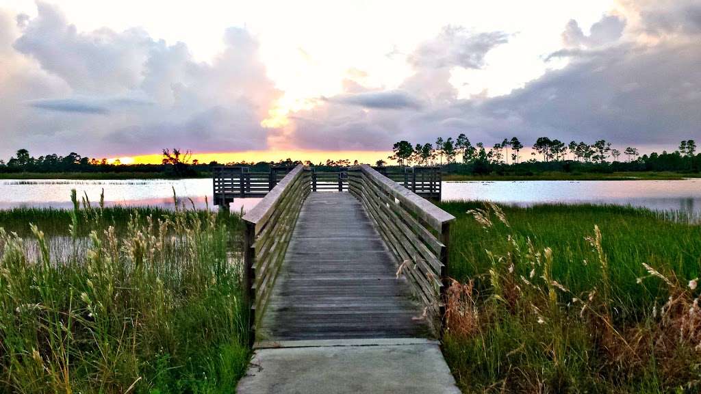 Pine Glades Natural Area | 14122 W Indiantown Rd, Jupiter, FL 33478, USA | Phone: (561) 233-2400