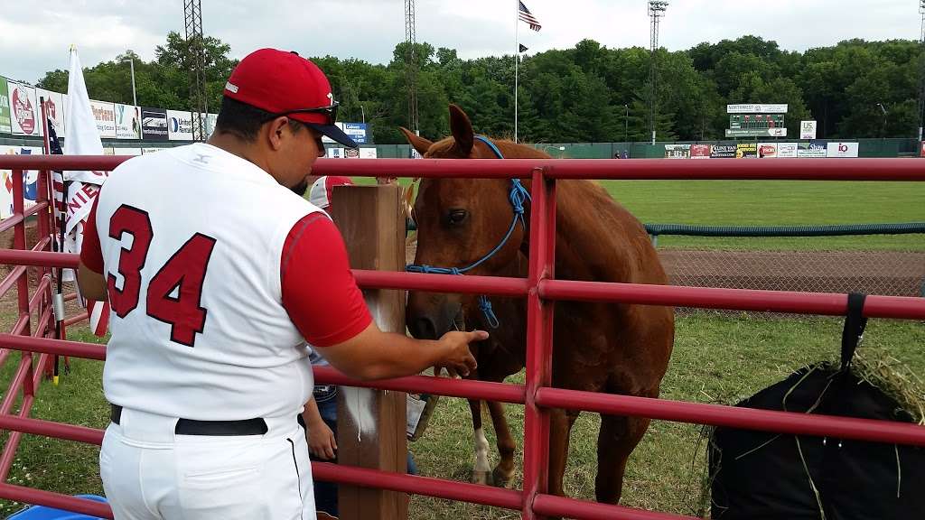 St Joseph Mustangs Baseball | 2600 Southwest Pkwy, St Joseph, MO 64503, USA | Phone: (816) 279-7856