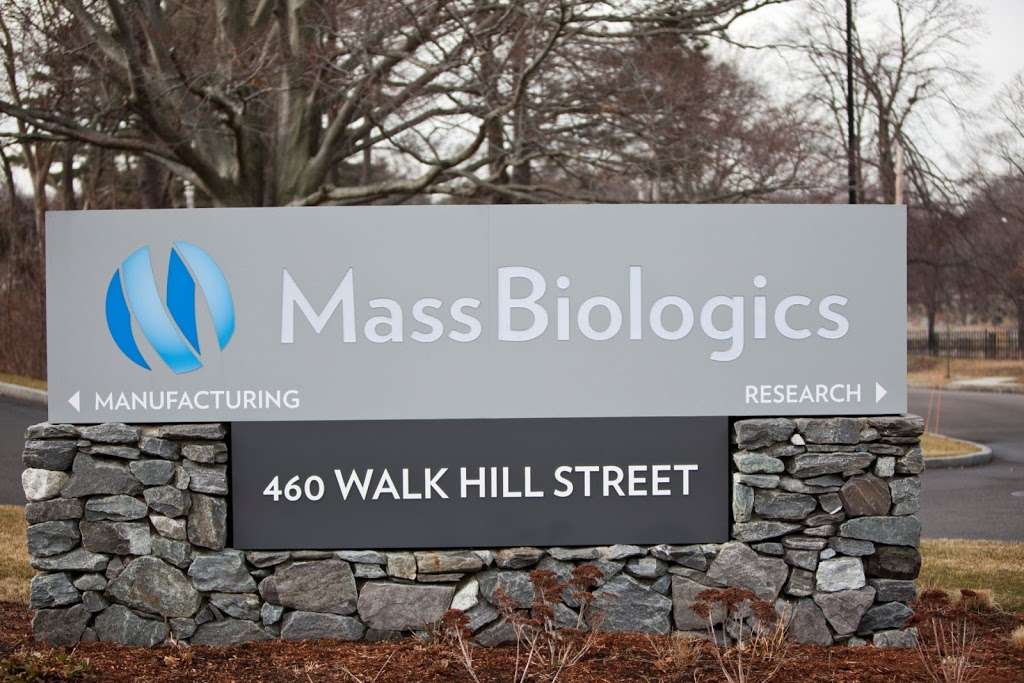 MassBiologics | 460 Walk Hill St, Mattapan, MA 02126, USA | Phone: (617) 474-3000