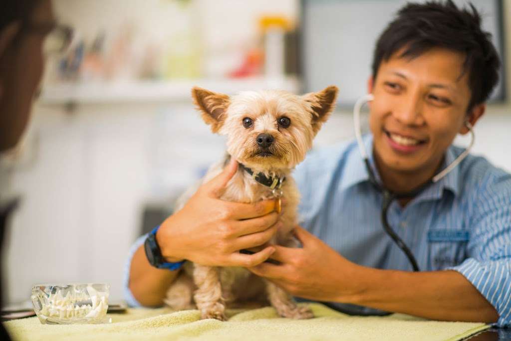 Parkvets Hayes | 44 Hayes St, Bromley BR2 7LD, UK | Phone: 020 8619 0499