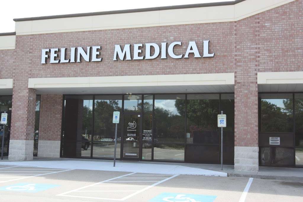 The Feline Medical Center | 1600 Clear Lake City Blvd Ste B, Houston, TX 77062 | Phone: (281) 410-5837