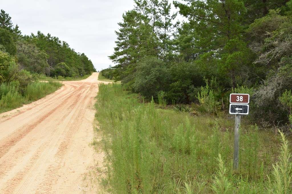 Juniper Prairie Wilderness Camping access | FR 33, Fort McCoy, FL 32134, USA | Phone: (352) 625-2520