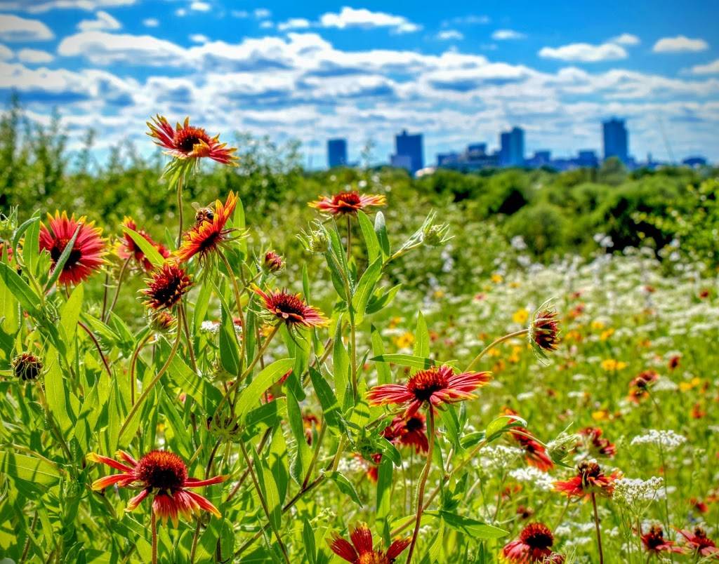 Tandy Hills Natural Area / Stratford Nature Area | 3225 View St, Fort Worth, TX 76103 | Phone: (817) 731-2787