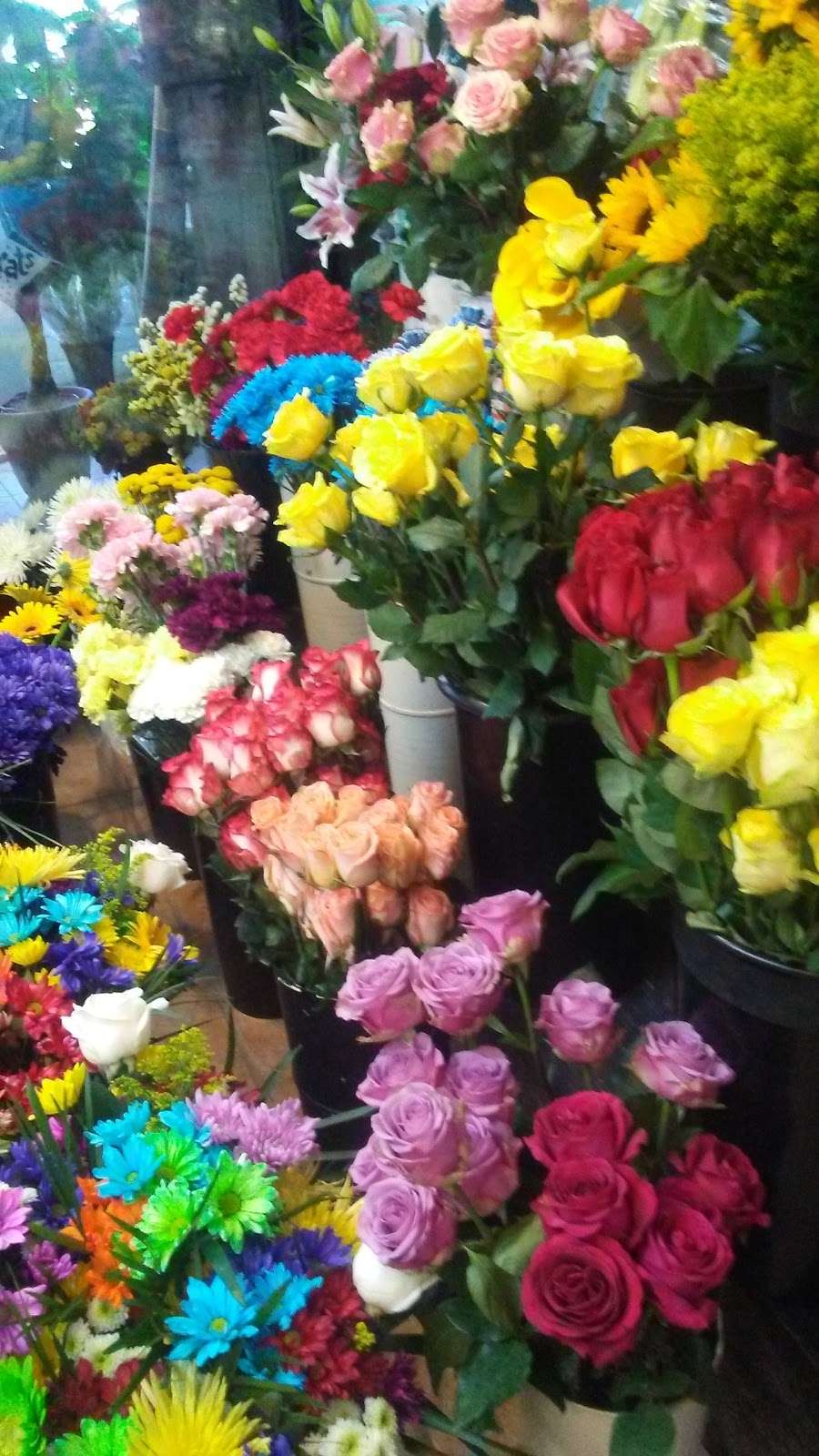 Martinez Park Florist | 4020 Alhambra Ave, Martinez, CA 94553, USA | Phone: (925) 228-7160