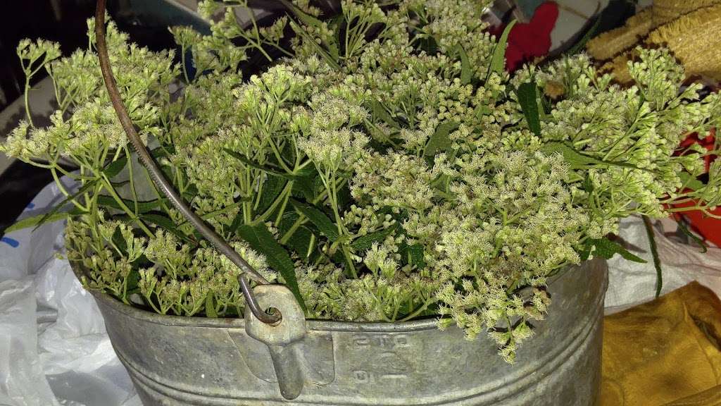 WatermelonStand.com | 28 Cardinal Dr, Fredericksburg, VA 22406, USA | Phone: (540) 602-5990