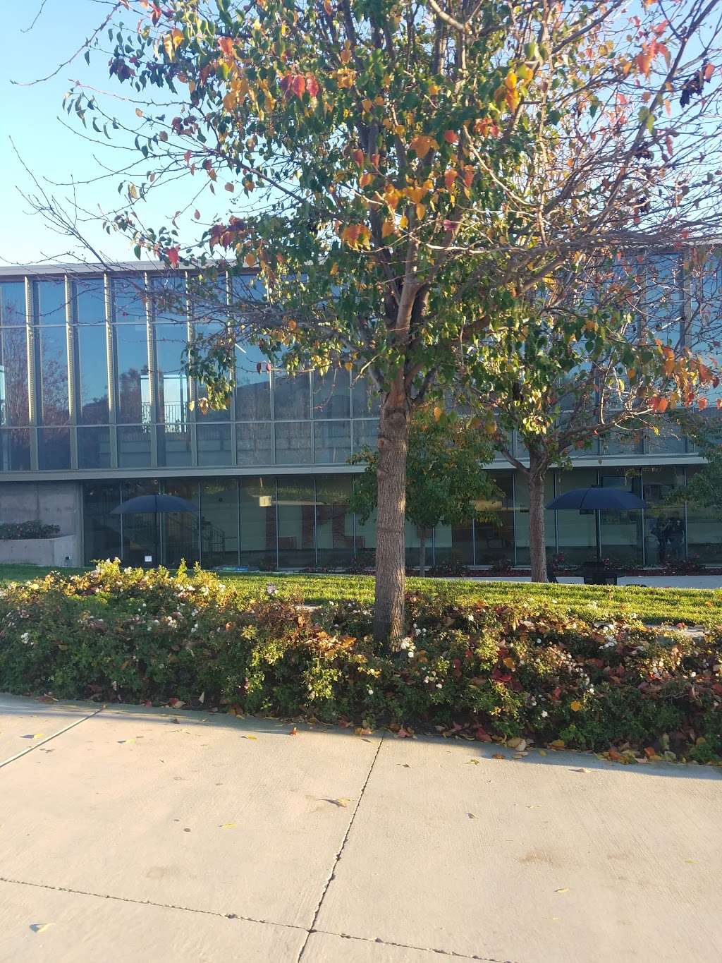 Las Positas College | Livermore, CA 94551, USA