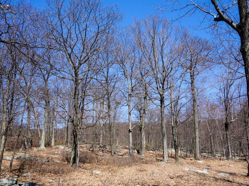 Torne View | Ramapo, NY 10901, USA