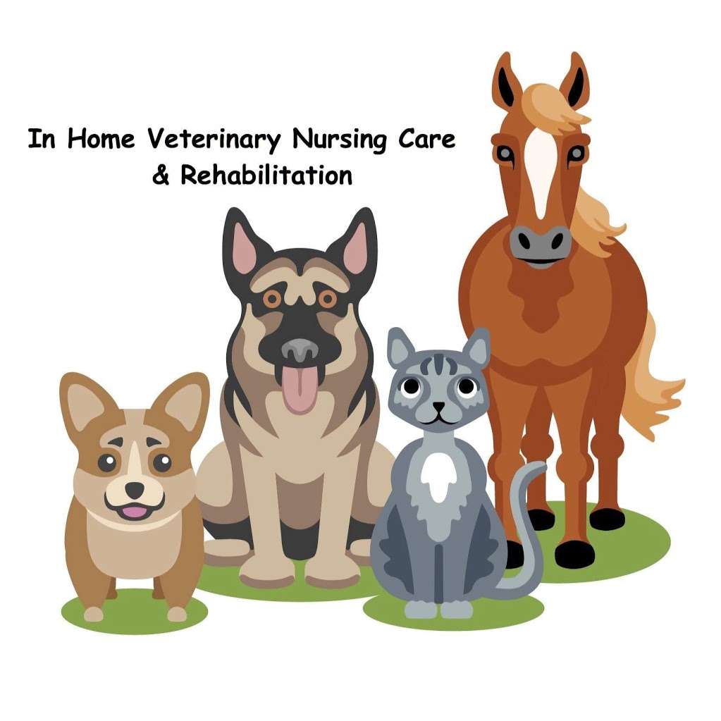 In Home Veterinary Nursing Care & Rehabilitation, IHVNCR | 805 Safford Ave, Lake Bluff, IL 60044 | Phone: (262) 994-1719