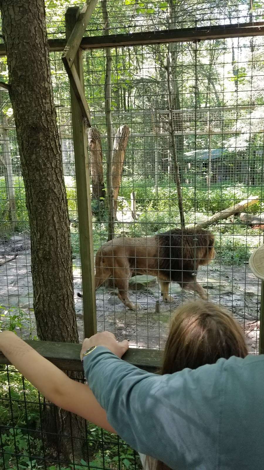 Claws N Paws Wild Animal Park | 1475 Ledgedale Rd, Lake Ariel, PA 18436, USA | Phone: (570) 698-6154