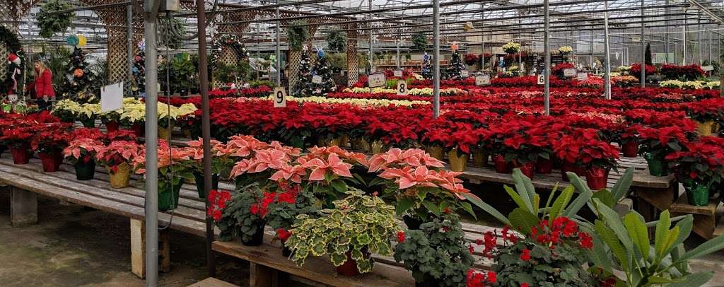 Esbenshades Garden Centers & Greenhouse | 1749 Bowmansville Rd, Mohnton, PA 19540, USA | Phone: (717) 445-6055