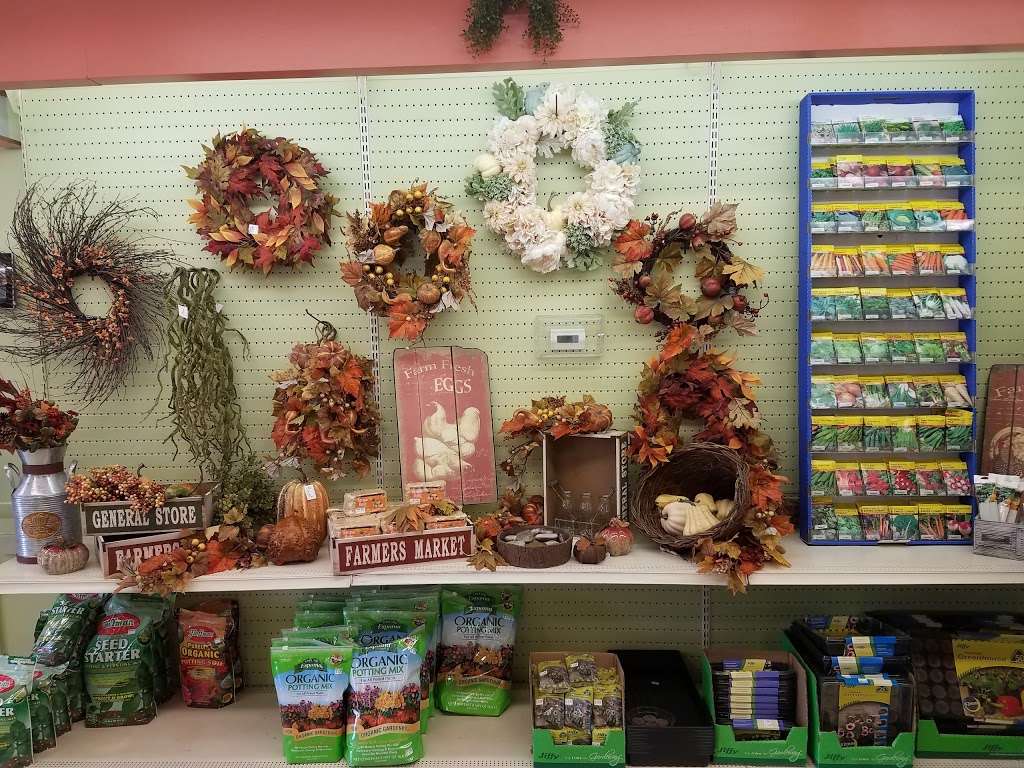 Burke Nursery & Garden Centre | 9401 Burke Rd, Burke, VA 22015, USA | Phone: (703) 323-1188