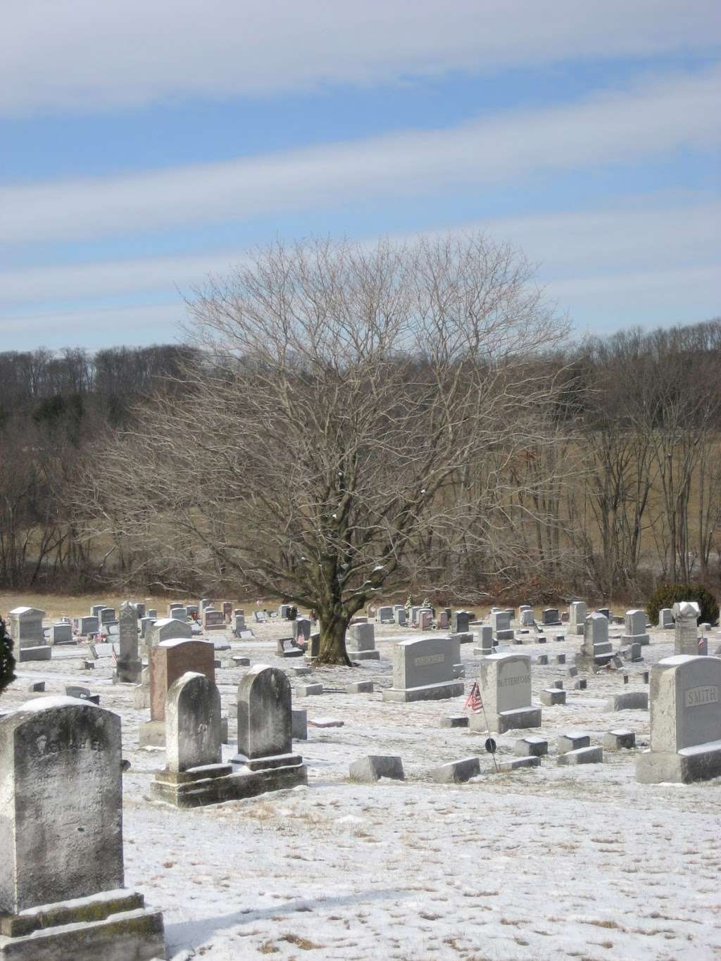 The Rosemont Cemetery | 100 Kingwood Stockton Rd, Rosemont, NJ 08556, USA | Phone: (609) 488-6959