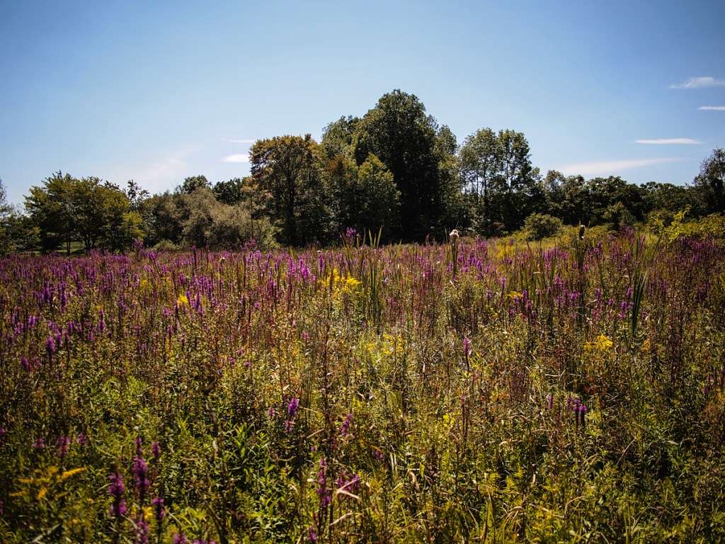 Appalachian Trail | State Line Rd, Westtown, NY 10998