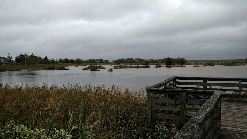 Edwin B Forsythe National Wildlife Refuge | Barnegat, NJ 08005, USA