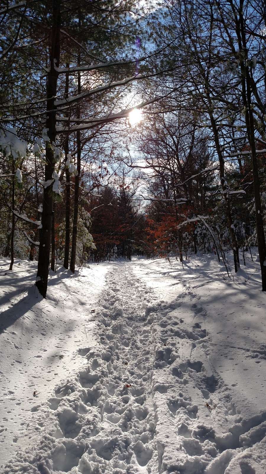 Adams Farm | Walpole, MA 02081, USA