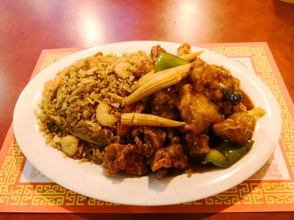 China Dragon | 1737 W 18th St, Chicago, IL 60608, USA | Phone: (312) 666-3766