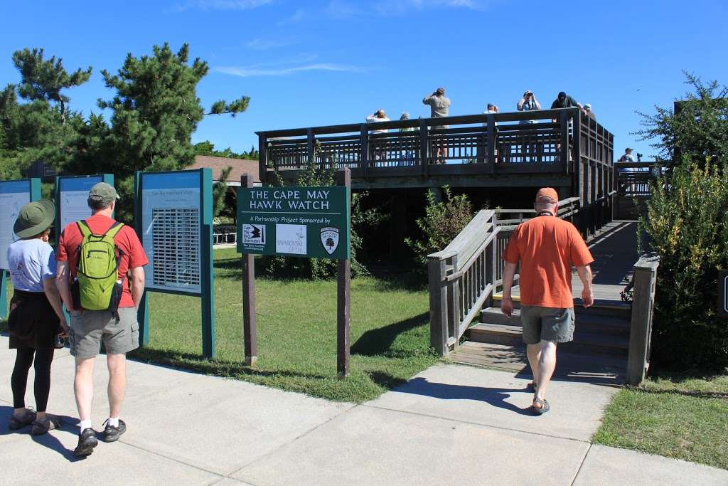 Cape May Bird Observation Deck | Cape May, NJ 08204