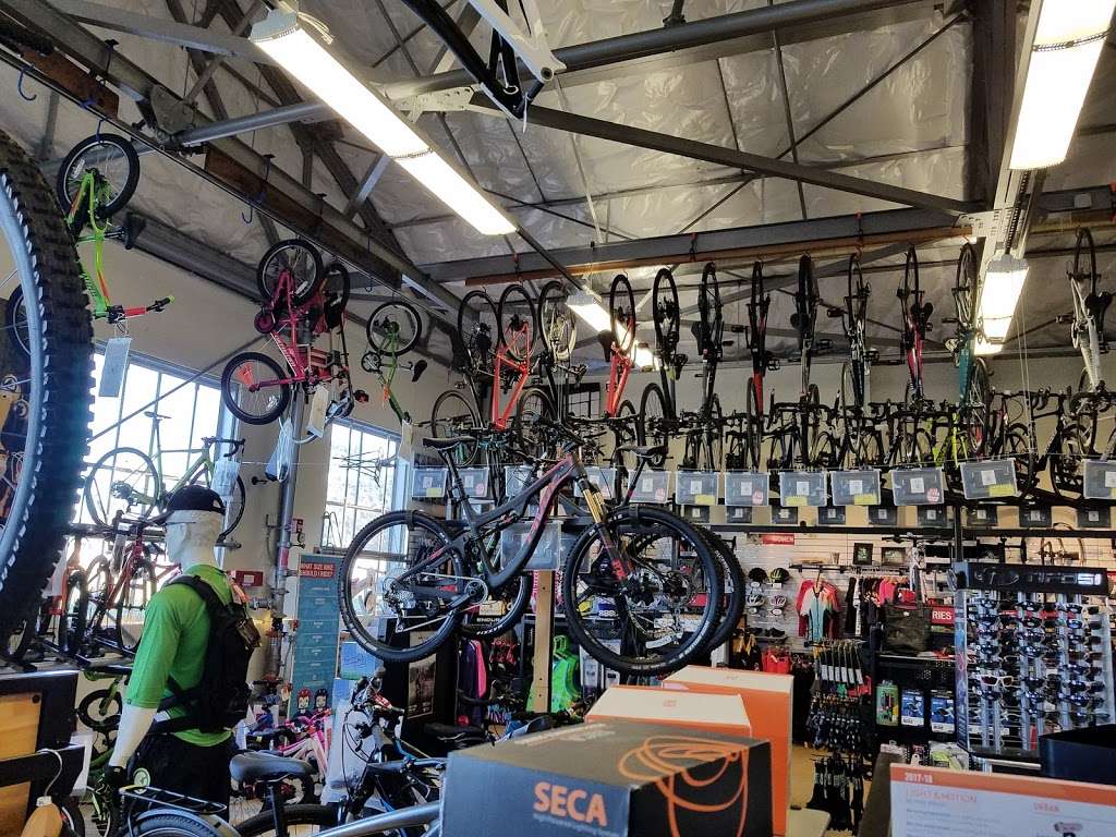 Roaring Mouse Cycles | 934 Mason St, San Francisco, CA 94129, USA | Phone: (415) 753-6272