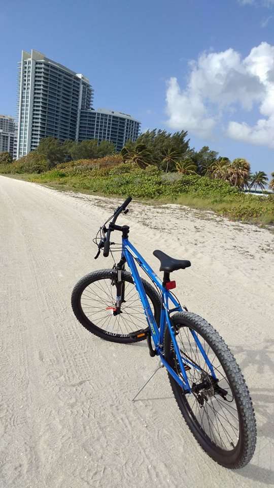 Haulover Bike Rentals | 10800 Collins Ave, Miami Beach, FL 33154, USA | Phone: (888) 663-7717