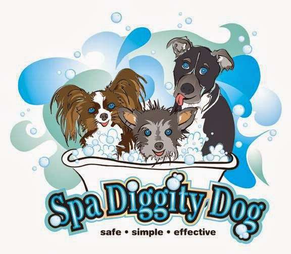 Spa Diggity Dog | 710 Stetson St, Orlando, FL 32804, USA | Phone: (407) 765-3335