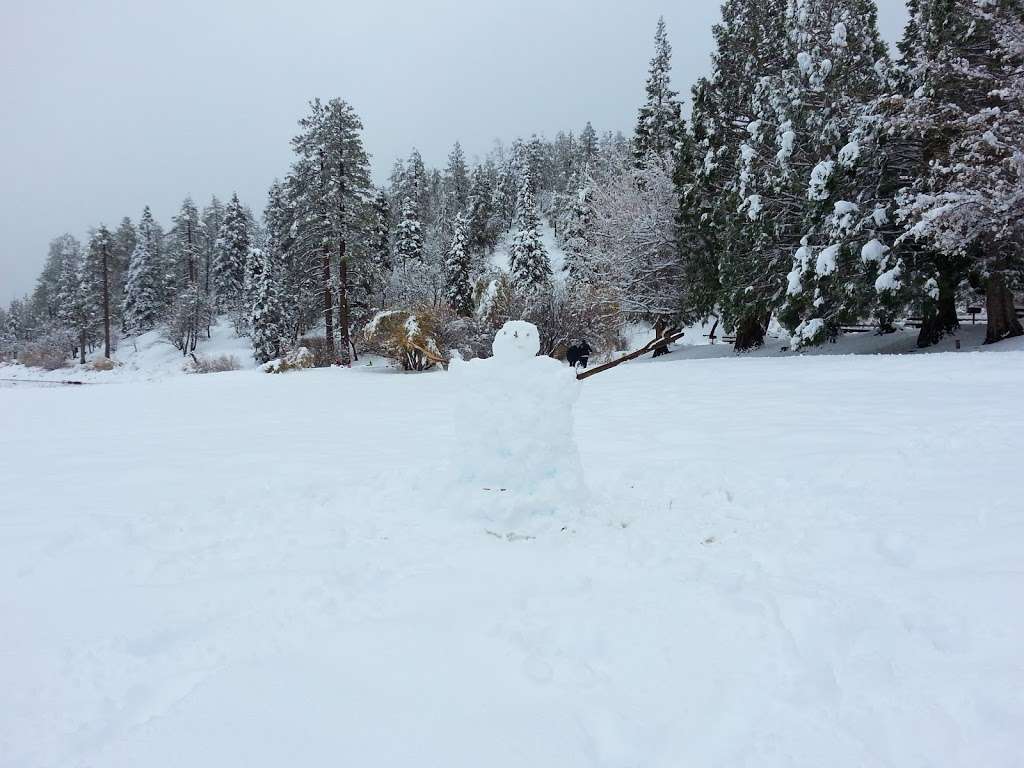 Jackson Lake Picnic Site ( | Valyermo, CA 93563, USA