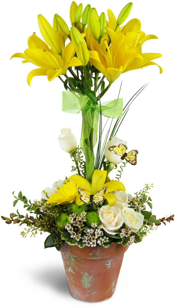 Hoffmans Florist & Greenhouse | 800 Hilliard Rome Rd, Columbus, OH 43228, USA | Phone: (614) 878-5161