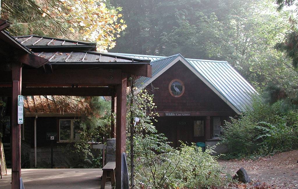 Portland Audubon Wildlife Care Center | 5151 NW Cornell Rd, Portland, OR 97210, USA | Phone: (503) 292-0304