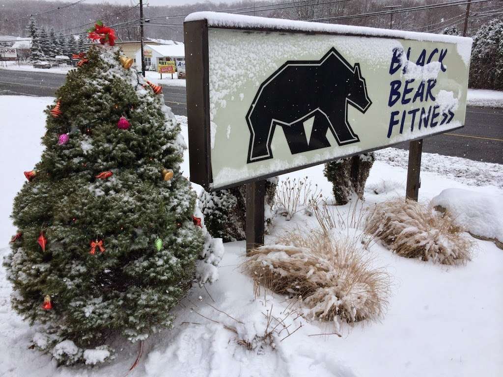 Black Bear Fitness | 681 Route 15 South, Lake Hopatcong, NJ 07849, USA | Phone: (973) 663-9300