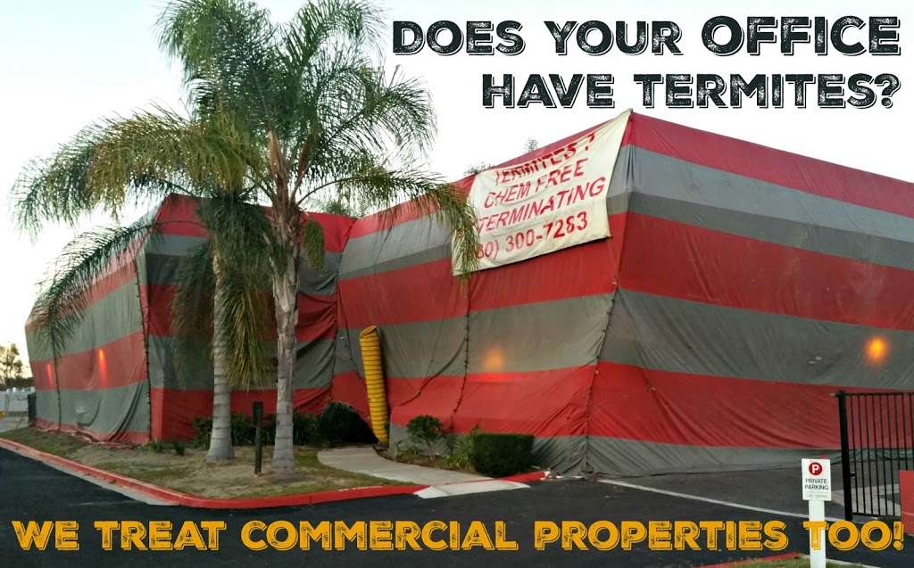 Chemfree Exterminating | 518 S Central Park Ave E, Anaheim, CA 92802, USA | Phone: (800) 300-7283