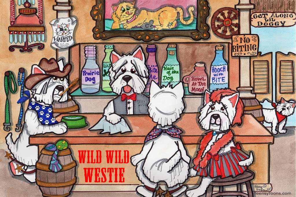 TeensyToons | 5416 Bryce Canyon Dr, Kissimmee, FL 34758, USA | Phone: (435) 229-0995