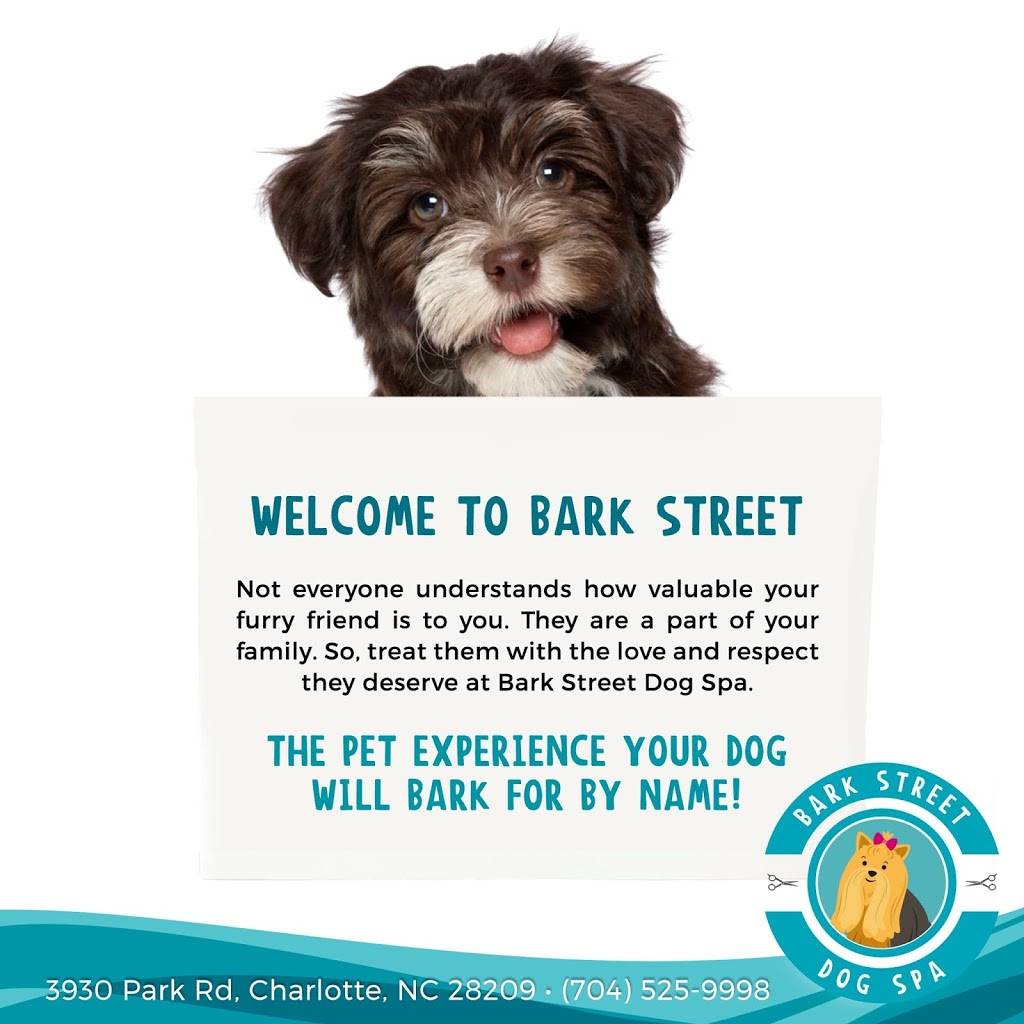 Bark Street | 3930 Park Rd, Charlotte, NC 28209, USA | Phone: (704) 525-9998