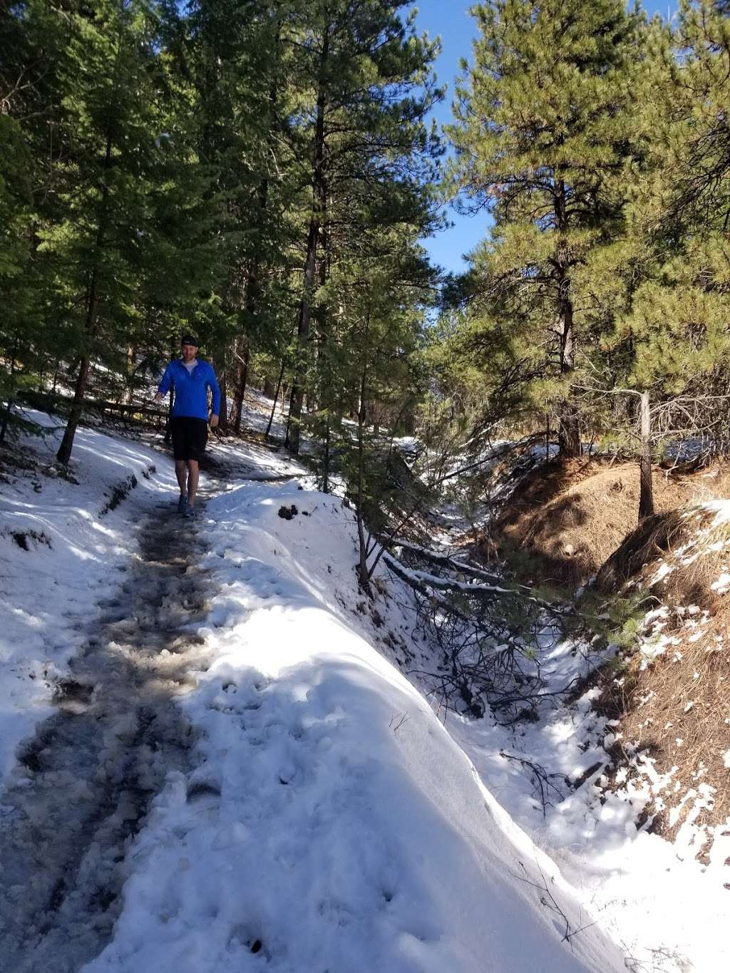 Enchanted Forest Trailhead | 196 Lookout Mountain Rd, Golden, CO 80401, USA