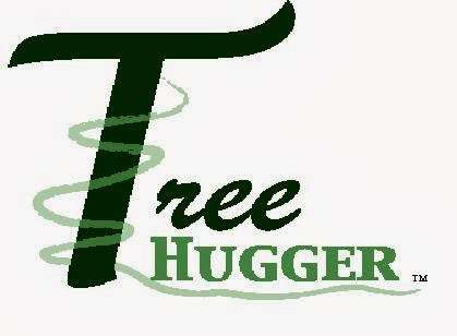 Tree Hugger | 1820 Live Oak Dr S, Rockledge, FL 32955, USA | Phone: (321) 507-4039