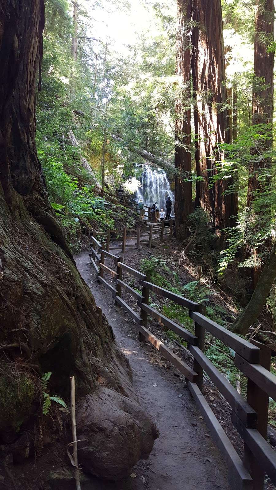 Berry Creek Falls | Berry Creek Falls Trail, Davenport, CA 95017, USA