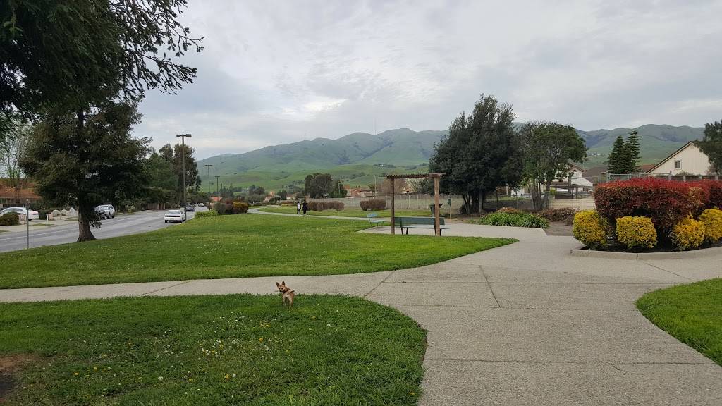 Peter Gill Memorial Park | Santa Rita Dr & Paseo Refugio, Milpitas, CA 95035, USA | Phone: (408) 586-3210