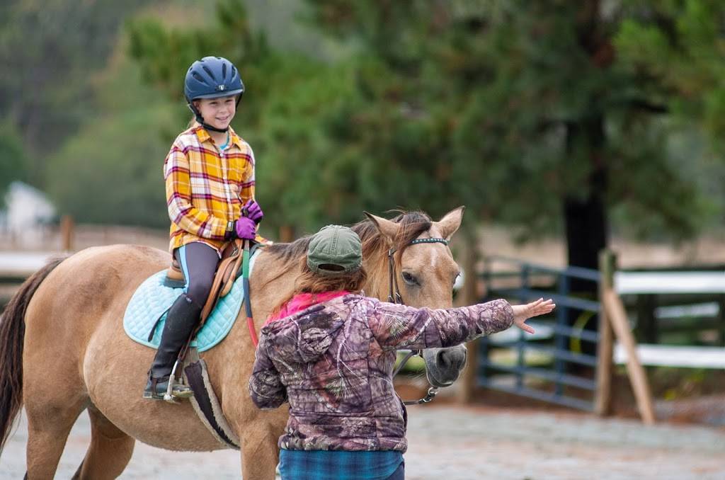 Ride the Sky Stables | 1804 Cross Country Ln, Apex, NC 27502, USA | Phone: (978) 328-8744