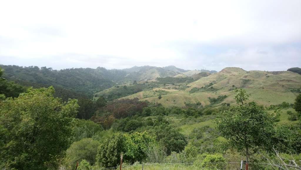 Sibley Volcanic Regional Preserve Labyrinth | Orinda, CA 94563, USA