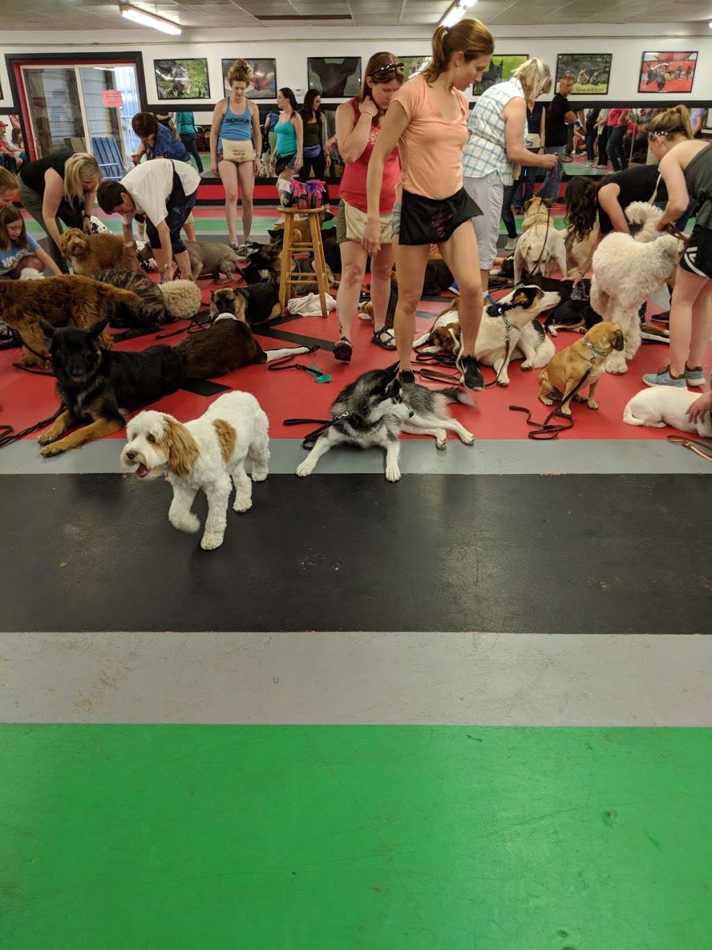 First Friend K-9 Training | 12401 Reynolds Dr, Fishers, IN 46038, USA | Phone: (317) 842-4199