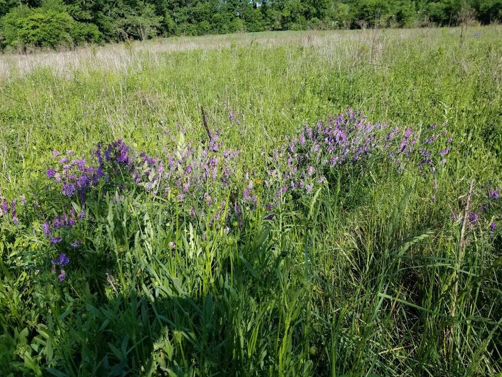 Clarks Creek Nature Preserve | 5542 Hucks Rd, Charlotte, NC 28269, USA