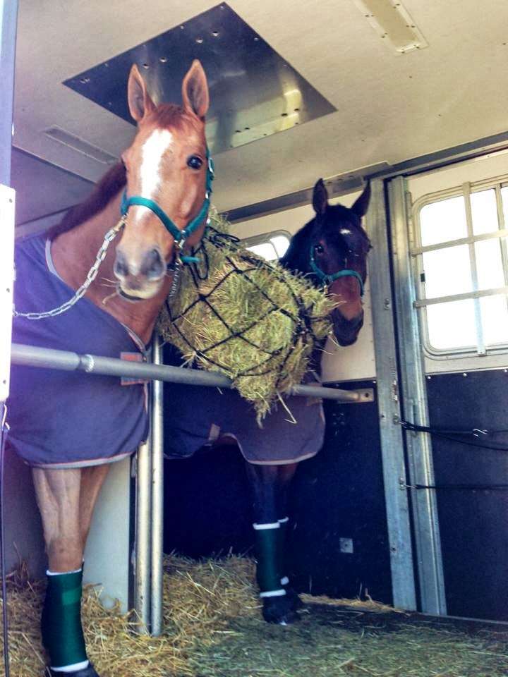 C & E Horse Transportation Inc | 8N034 IL-25, South Elgin, IL 60177 | Phone: (888) 265-3007