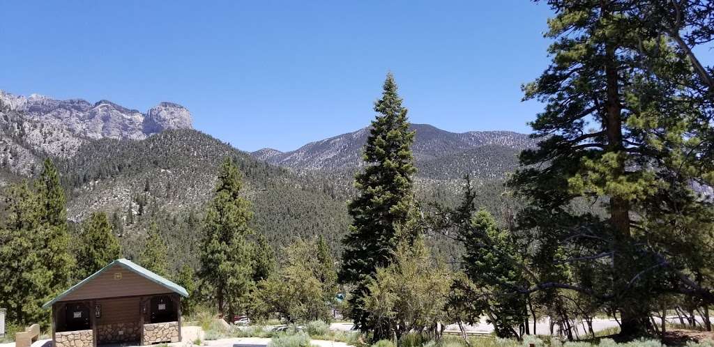 CATHEDRAL ROCK PICNIC AREA | Toiyabe, Coleville, NV 96107, USA | Phone: (801) 226-3564