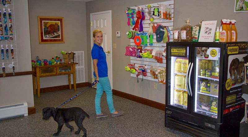 The Barking Dog – Derry | 210 Rockingham Rd, Derry, NH 03038, USA | Phone: (603) 346-4362