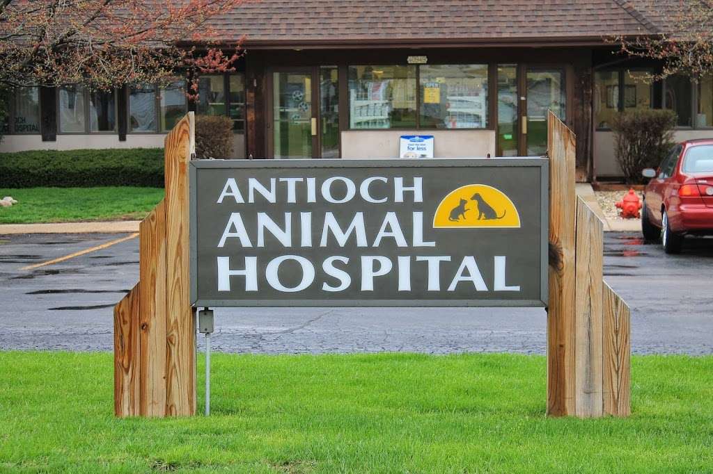 Antioch Animal Hospital | 40949 N, IL-83, Antioch, IL 60002, USA | Phone: (847) 395-0636