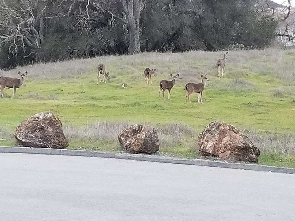 Quicksilver park parking | Unnamed Road, San Jose, CA 95120