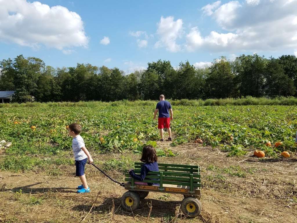 Evergreen Acres Produce | 745 N Reading Rd, Ephrata, PA 17522, USA