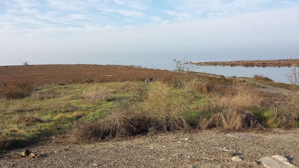 Hayward Regional Shoreline | 2639 Grant Ave, San Lorenzo, CA 94580