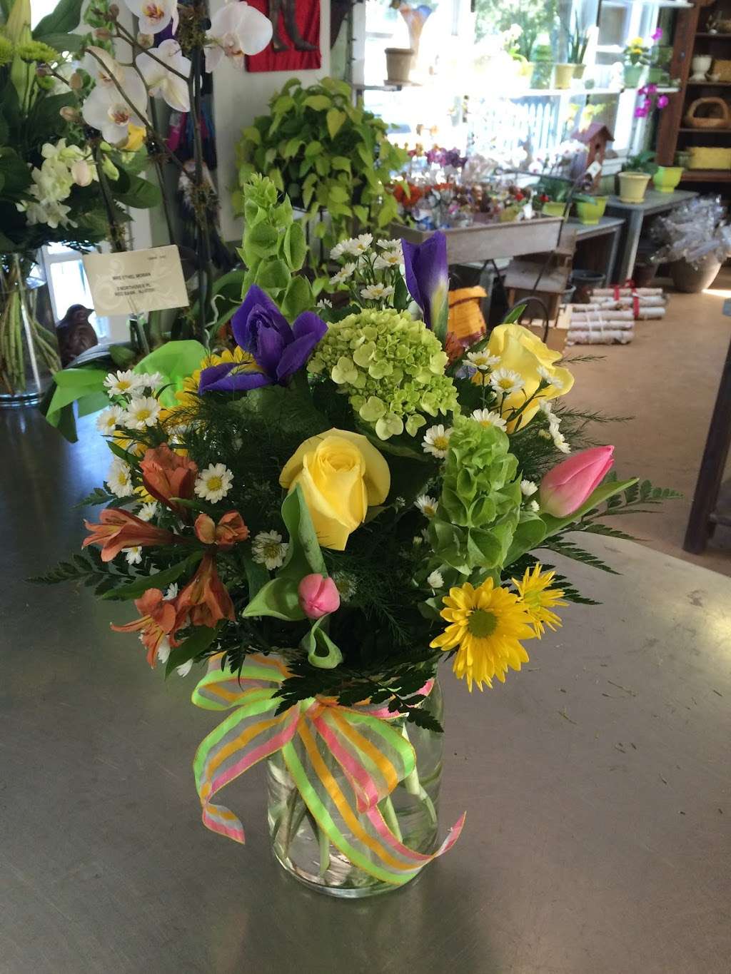 Guaranteed Plants & Florist | 504 Locust Point Rd, Rumson, NJ 07760, USA | Phone: (732) 291-3241