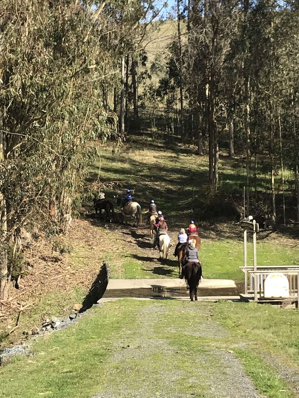 Horse N Around Trail Rides | 18797 CA-1, Bodega Bay, CA 94923, USA | Phone: (707) 875-3333